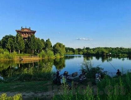 麻豆传媒免费网站-以透视麻豆传媒免费网站，网络文化的双刃剑为题，文章展开如下
